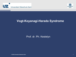 VKH (Vogt-Koyanagi-Harada Syndrome)