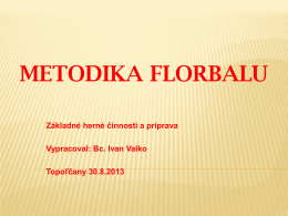 Metodika Florbal 2013