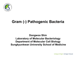 병원성세균학(대학원)_G(-) pathogens