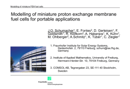 Modeling of miniature PEM fuel cells for portable applictaions at