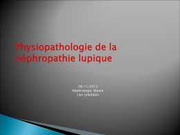Physiopathologie lupus - nephrologierouen