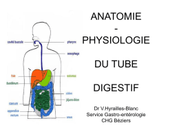 ANATOMIE PHYSIOLOGIE DU TUBE DIGESTIF Dr V.Hyrailles