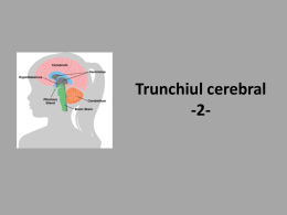tr cerebral 2(1)