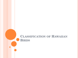 Classification of Hawaiian Birds