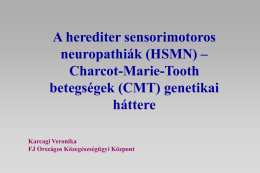 (HSMN) – Charcot-Marie-Tooth betegségek (CMT)