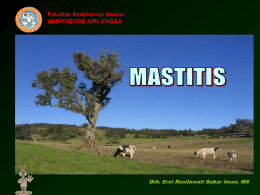 mastitis - Fakultas Kedokteran Hewan Universitas Airlangga