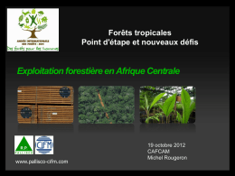 2012_10 Forêts tropicales CAFCAM