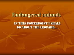 Endangered animals - Kevin Morgan