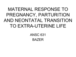 Maternal Response to Pregnancy Parturition