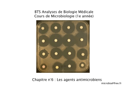 AFBB Spécialisation Biologie Cellulaire et Moléculaire Cours