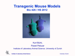 Transgenic Mouse Models - Institut für Labortierkunde