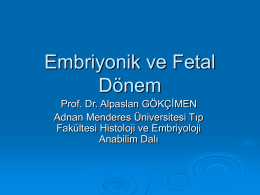 Slayt 1 - Adnan Menderes Üniversitesi