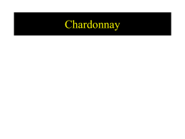 Presentatie - kbcwijnclub.be