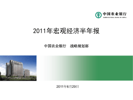 2011年中国宏观经济半年报