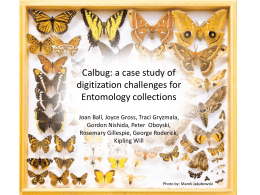 Calbug: A case study of digitization challenges for entomology