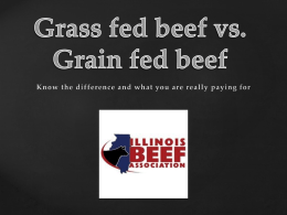 Grass fed beef vs. grain feed beef