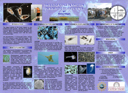 Investigating Plankton in Aquatic Ecosystems
