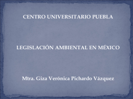 Material1 - Instituto Universitario Puebla