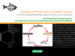 Generate a DNA Barcode and Identify Fish Species - Bio-Rad