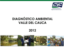 Diagnóstico Ambiental del Valle del Cauca