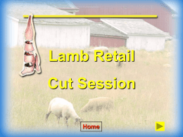 Lamb ID cuts with answers
