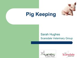 Pig Keeping - Derbyshire Smallholders Association