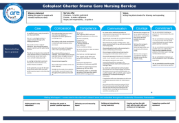 Vision and Strategy: - Apollo Nursing Resource