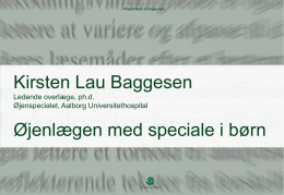 Kirsten Baggesen - Synoptik