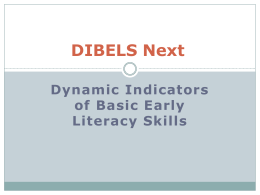 What Are DIBELS Next?