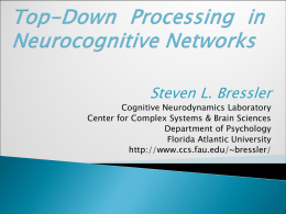 Top-Down Processing in Neurocognitive Networks