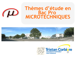 Diaporama présentation Bac Pro MIC