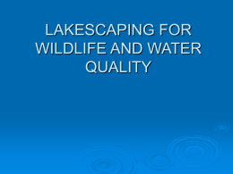 Lakescaping for Wildlife and Water Quality