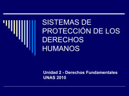 sistema de protección de los derechos humanos