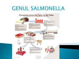 Salmonella: simptome şi profilaxia