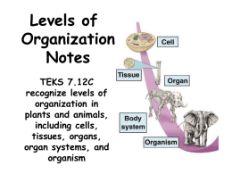 Levels of organization notes