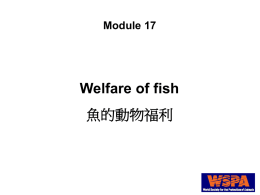 17_Fish 魚之動物福利