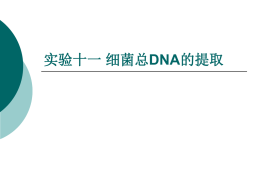 实验12 质粒DNA的转化