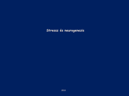 Stressz hatása az őssejtekre és a neurogenesisre