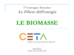 D.Picco - CETA - FIT Fondazione Internazionale Trieste