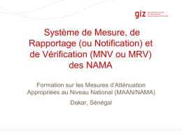 Measurement, reporting and verification (MRV) of NAMAs