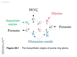 Figure 28-1 The biosynthetic origins of purine ring atoms.