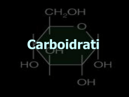 4.carboidrati