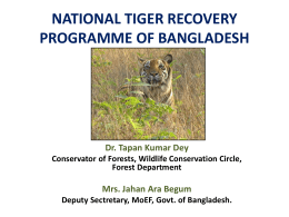 - Global Tiger Initiative