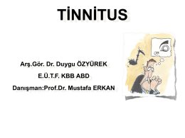 Tinnitus - Prof Dr. Mustafa Erkan
