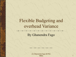 Flexiblebudgeting