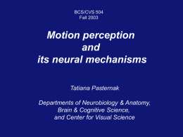 4.3 MB - Brain & Cognitive Sciences