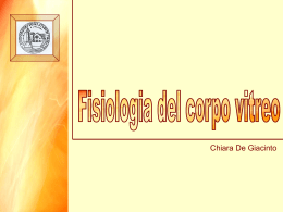 Fisiologia del corpo vitreo