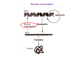 Reverse transcriptase