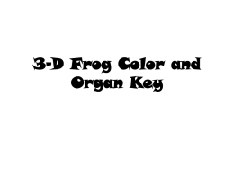 3-D Frog Color and Organ Key