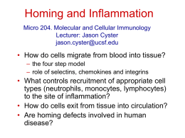 Homing and Inflammation - UCSF Immunology Program